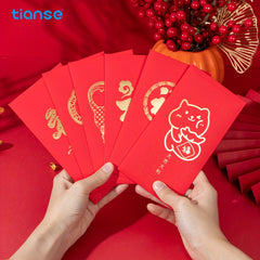 6pcs Chinese Red Packet Lucky Money Envelope Spring Wedding Greeting Decoration