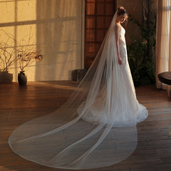 Cathedral Bridal Veil with Rhinestone Embellishments Sheer Tulle Wedding Accesso