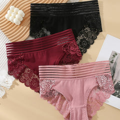 3 Pcs Lace Briefs Sexy Sheer Panties Women's Underwear