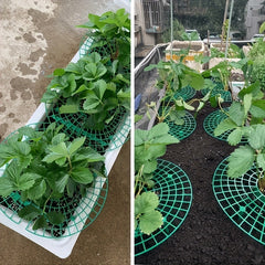 4pcs Strawberry Rack Garden Cultivating Tool
