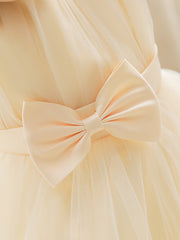 Girls Sleeveless Puffy Princess Dress with Tiara