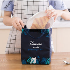 Cute Insulated Lunch Bag for Kids, Leakproof Cartoon Theme