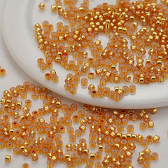 720pcs 2.5mm Silvery Filled Glass Beads for Jewelry Making DIY