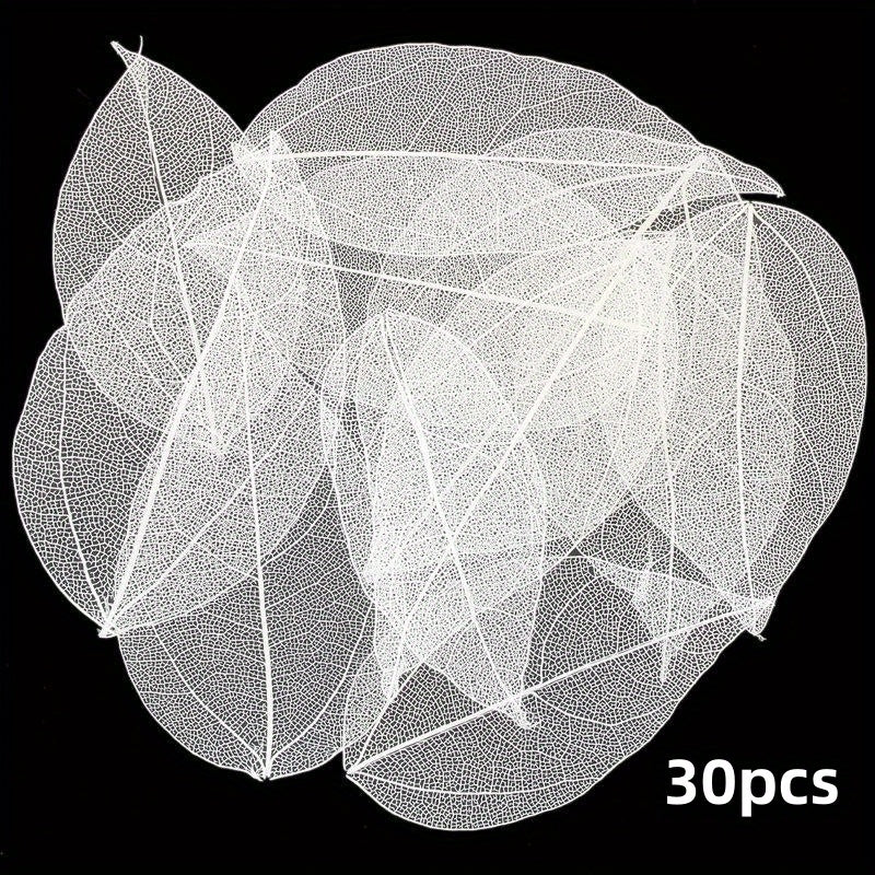 30pcs Leaf Vein Embossing Phone Case Adhesive Dry Flower DIY Set