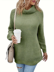 Women's Plus Casual Sweater Solid Long Sleeve Turtle Neck Jumper