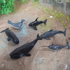 6pcs Marine Life Model Fish Animal Toys Shark Killer Whale Ornaments