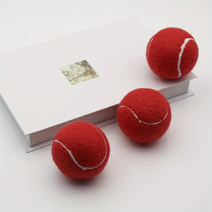 Portable High Elasticity Rubber Tennis Ball Set
