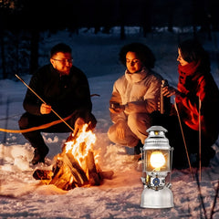 10pcs Propane Lantern Cover for Gas Lamps Camping Lights