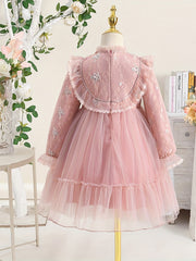 Girls' Lace Embroidered Princess Dress with Tulle