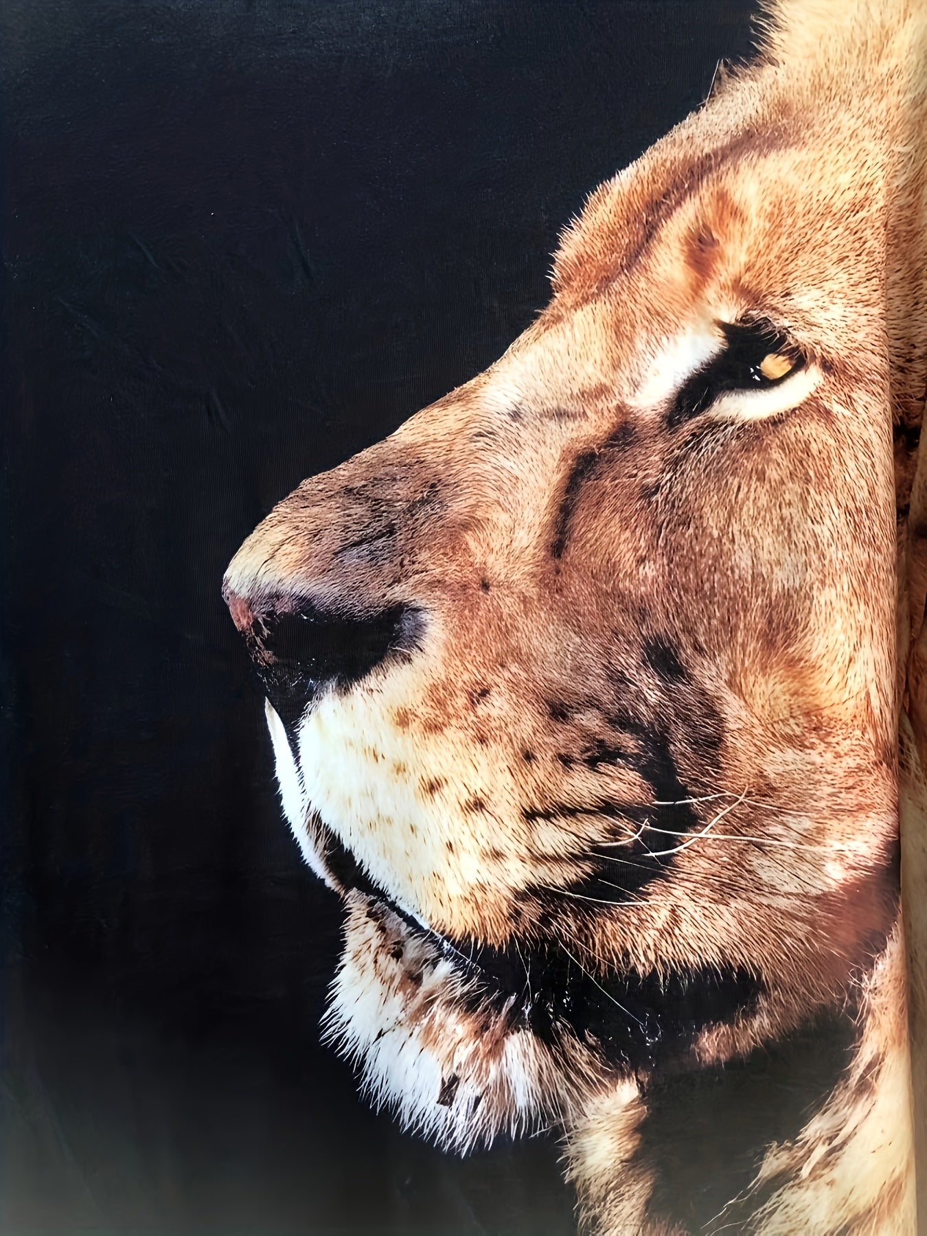 LION 3D Print Graphic Sweatshirt Loose Pullover Men's Clothing