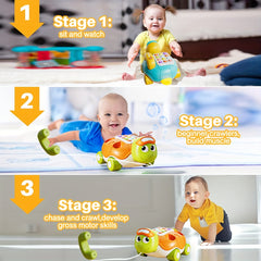 Baby Music Turtle Toy Telephone with Luminous Music