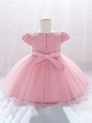Baby Girls Puff Sleeve Mesh Princess Dress Clothes