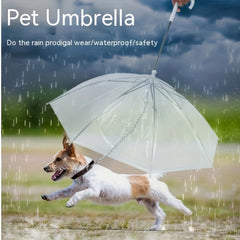 Pet Dog Transparent Umbrella Rainproof Walking Dog Leash Umbrella