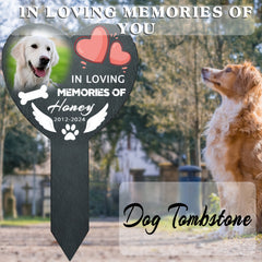 img_6543920