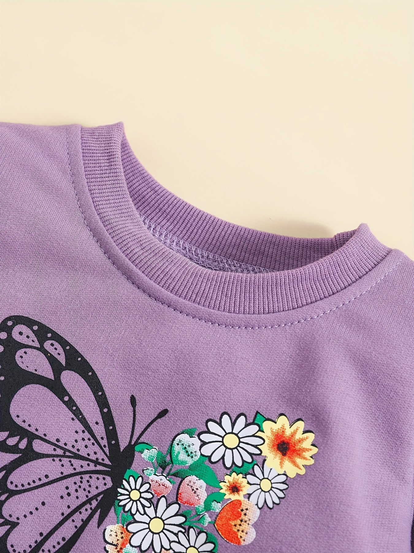 Baby Girl's Butterfly Print Sweatshirt Set