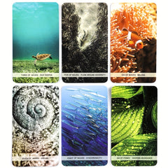 Flow Tarot: Tarot of the Water Element