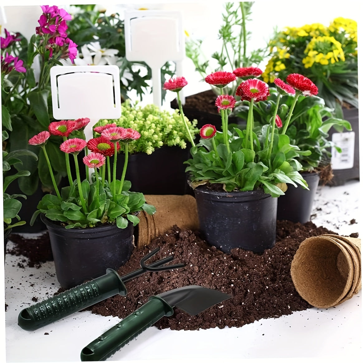 4pcs Garden Tool Set for Indoor Outdoor Plant Care, Bonsai Kit