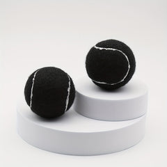 2pcs High Elasticity Tennis Balls for Beginners