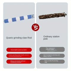 Stainless Steel Bird Stand for Parrot Grinding Nails Teeth