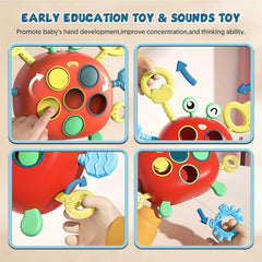 Montessori Crab Toy Toddler Sensory Travel Educational Learning Fine Motor Pull