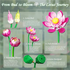 Lotus Building Blocks Set for Home Decor