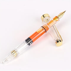 Clear Demonstrator Fountain Pen Fine Nib Silver Clip