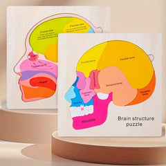 Wooden Brain Anatomy Learning Puzzle for Ages 3 Educational Cognitive Toy