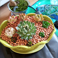 Ceramsite Clay Pebbles 200g Indoor Plant Drainage Solution