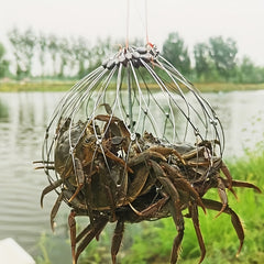 Automatic Fishing Trap Cage for Crabs in Freshwater and Saltwater