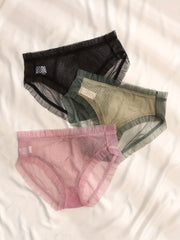 3 Pack Plus Size Sexy Panties Set Women's Plus Mesh Floral Trim Underwear
