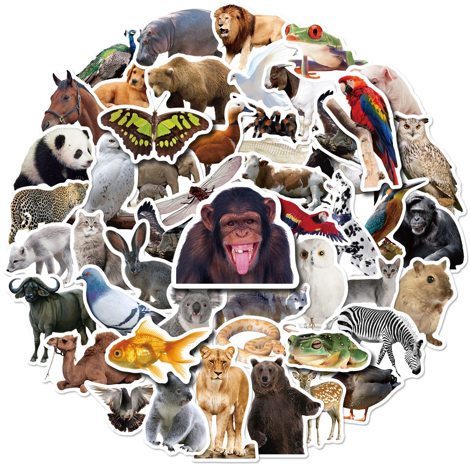 50pcs Farm Zoo Animals Waterproof Vinyl Bulk Stickers For Water Bottles Laptop