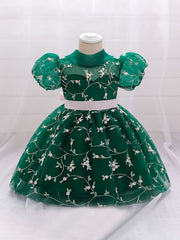 Baby Girl's Floral Embroidery Mesh Princess Dress