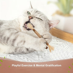 5pc Chew Sticks for Teeth Cleaning & Play Pet Supplies for Indoor Cats