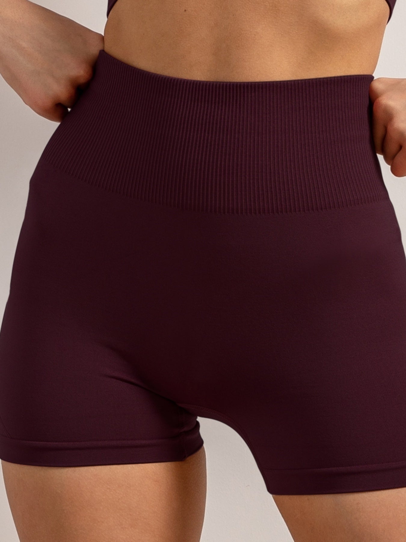 Seamless Sports Shorts High Waist Butt Lifting Biker Shorts Women's Activewear