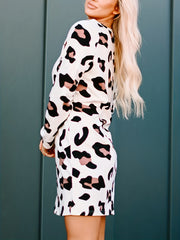 Leopard Print Crew Neck Dress Long Sleeve Spring & Summer Casual Dress
