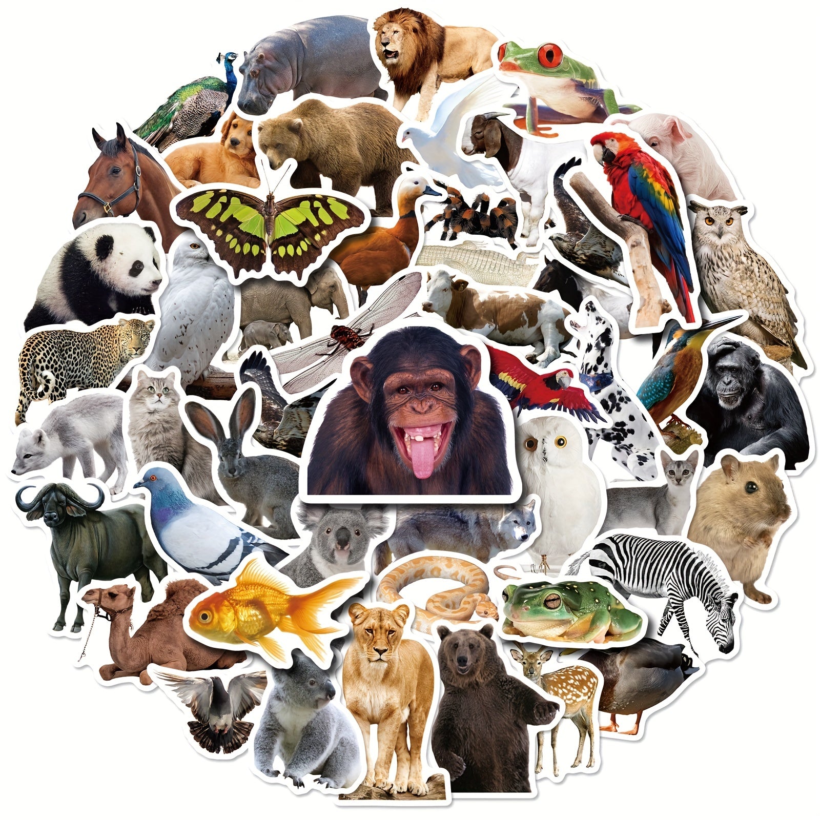 50pcs Farm Zoo Animals Waterproof Vinyl Bulk Stickers For Water Bottles Laptop
