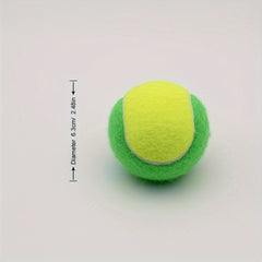 4pcs High Elastic Rubber Tennis Balls for Beginners