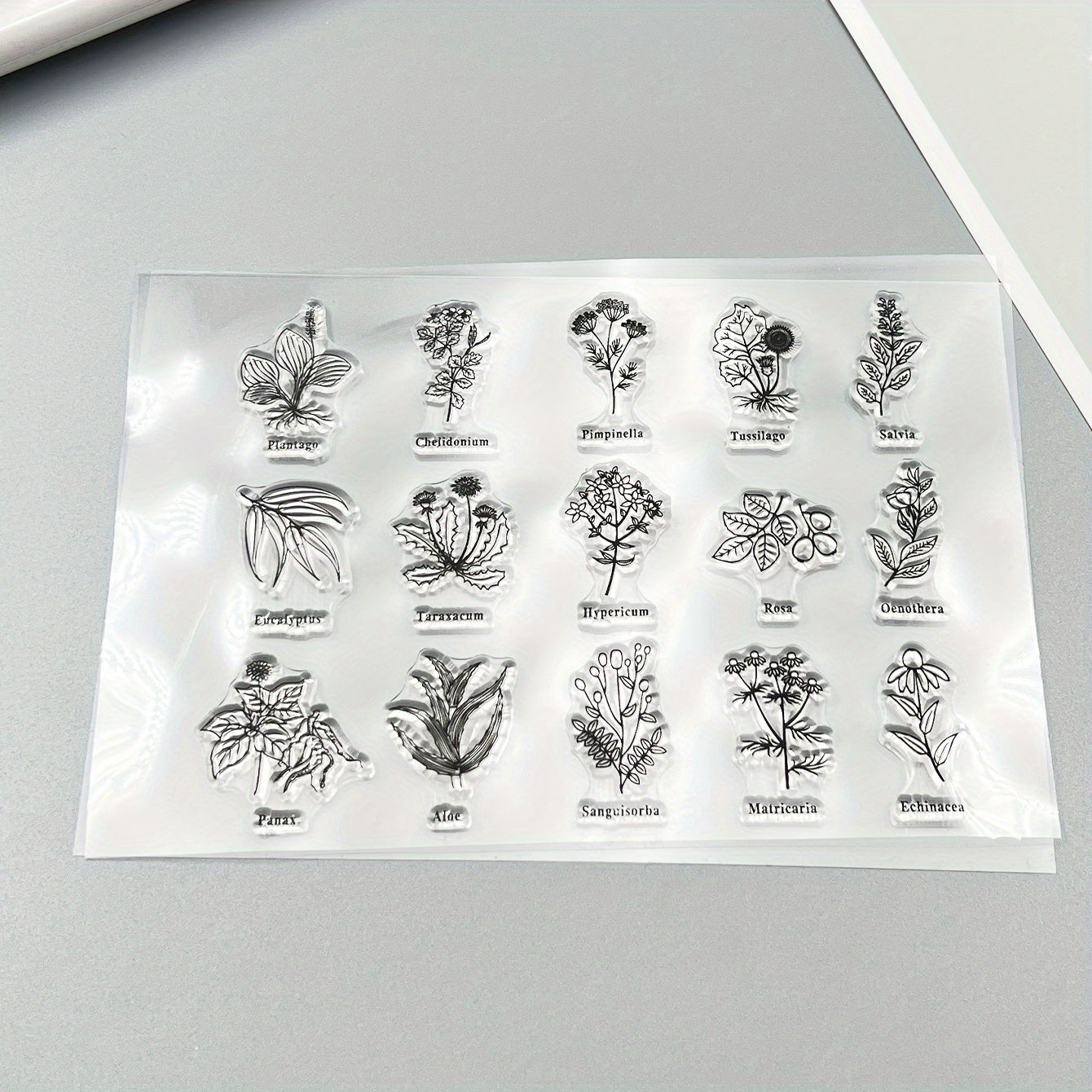 Transparent Plant Silicone Stamp for DIY Handbook Seal