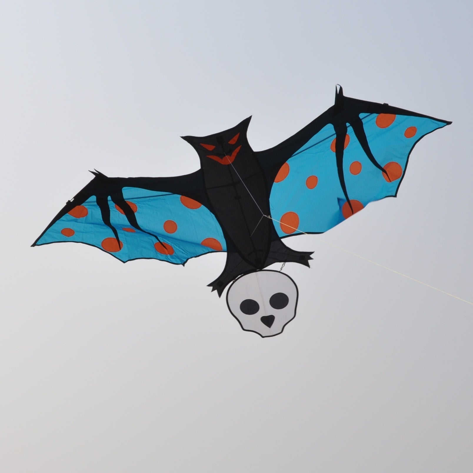 Bat Shaped Kite With Skull Tail Easy Setup Fly Family Outdoor Party Game