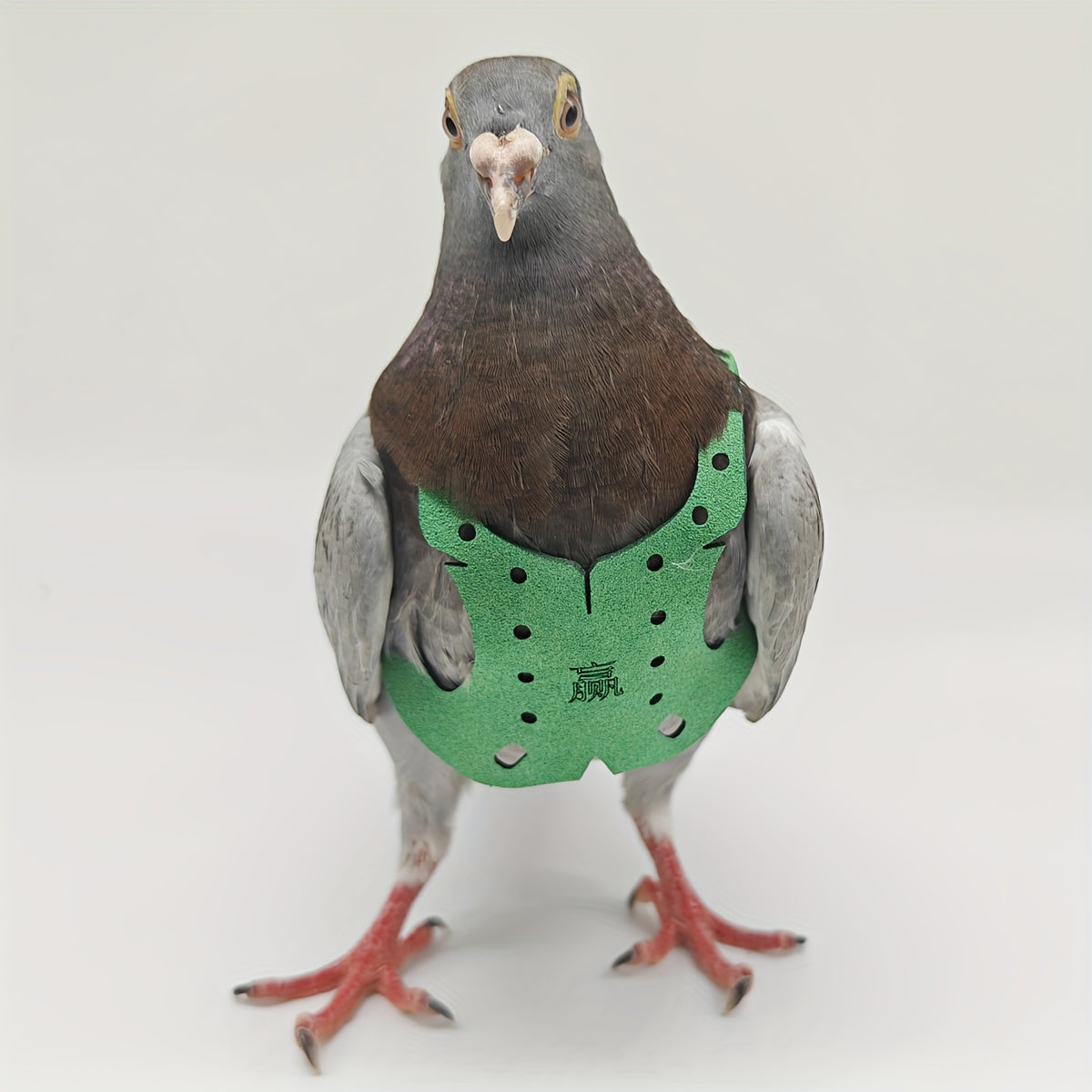 Pigeon Flying Rope Bird Clothes Pigeons Vests Pigeon Supplies Pigeon Training
