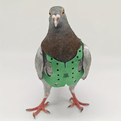 Pigeon Flying Rope Bird Clothes Pigeons Vests Pigeon Supplies Pigeon Training