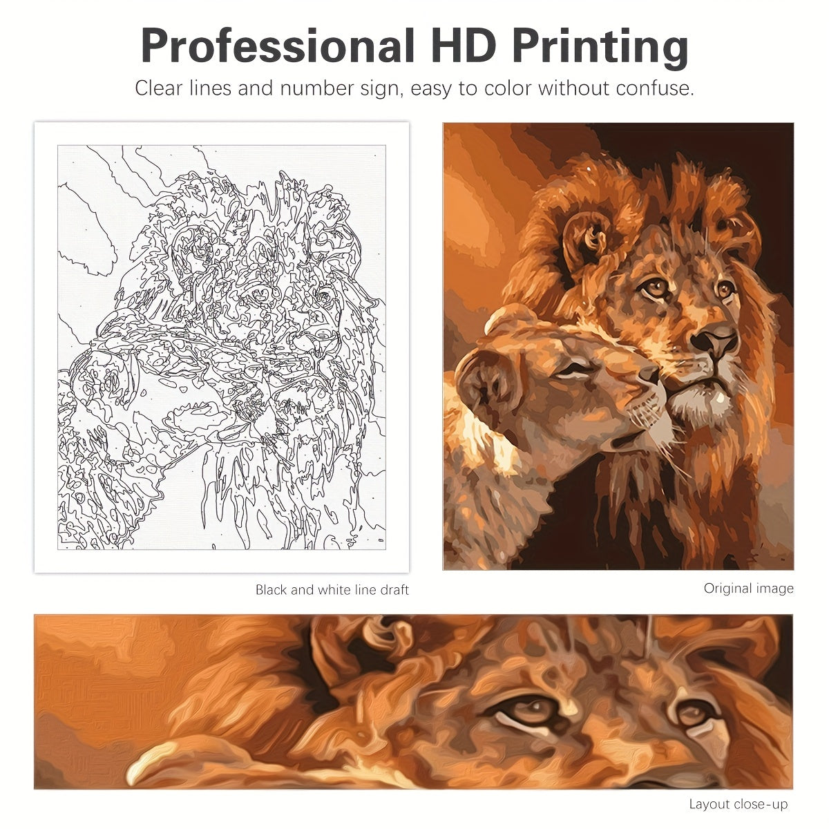 Paint By Numbers For Adults Beginners DIY Lion Animals Gift Canvas Painting