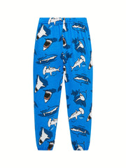 Boys 2pcs Pajamas Cotton Long Sleeve Round Neck Pullover Top & Pants