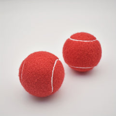 2pcs High Elasticity Tennis Balls for Beginners