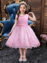 Girls Princess Dress Sleeveless Flower Embroidery Lace Mesh Tutu Dress