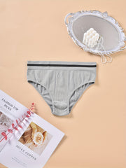3 Pack Plus Size Panties Set Women's Plus Stripe Print Elastic Waist