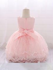 Baby Girls Floral Embroidery Princess Dress