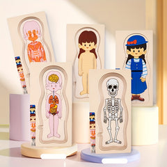 Boys & Girls Human Body Wooden Puzzle Science Toy
