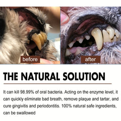 Pet Teeth Cleaning Spray Oral Care Dogs Cats
