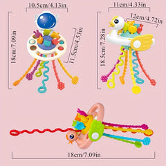Montessori Sensory Teething Toy for Baby